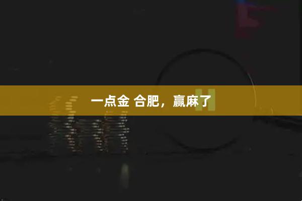 一点金 合肥，赢麻了