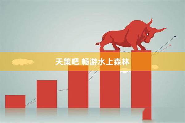 天策吧 畅游水上森林