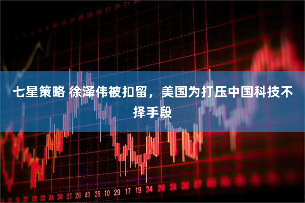 七星策略 徐泽伟被扣留，美国为打压中国科技不择手段